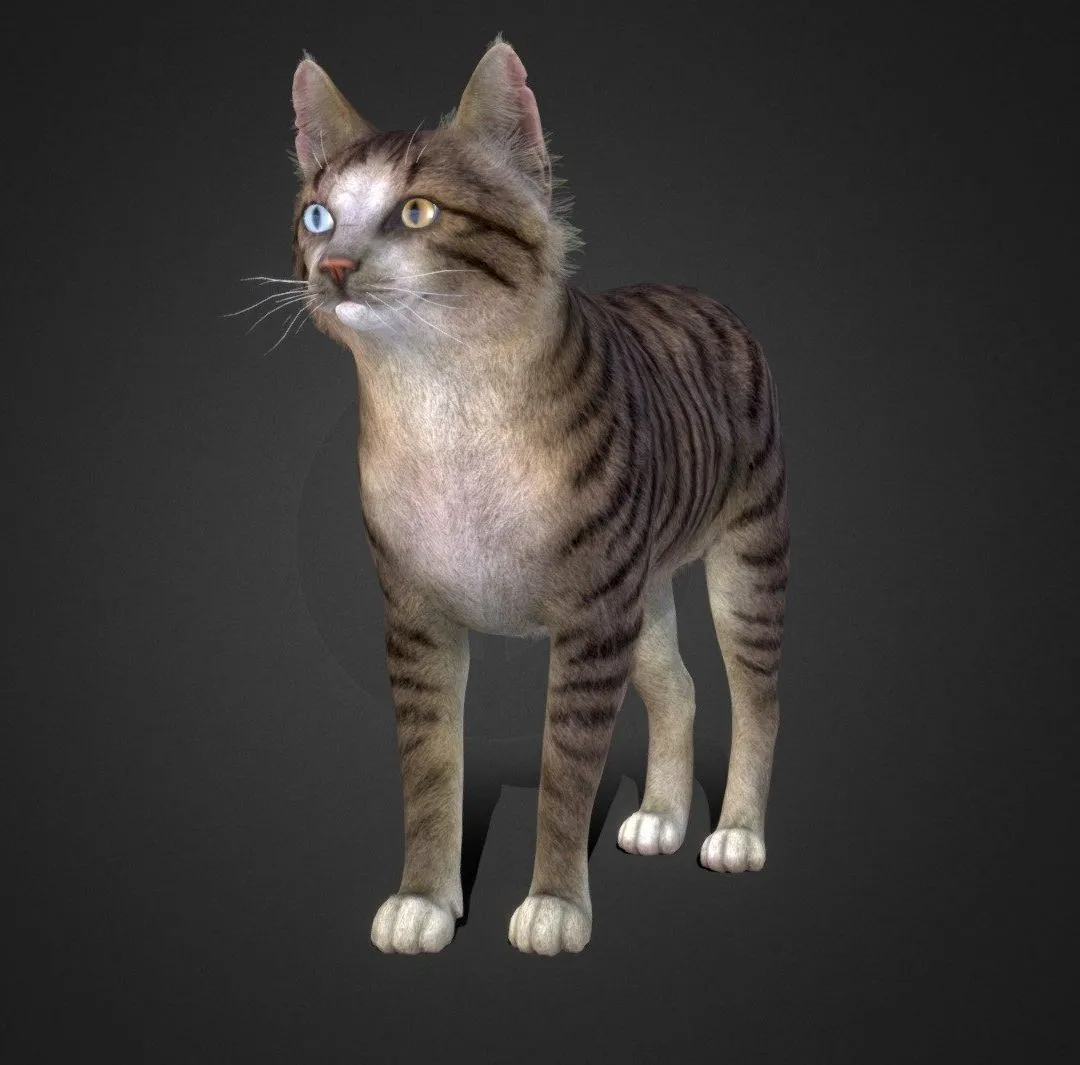 PBR Game 3D Models – Cat Stray