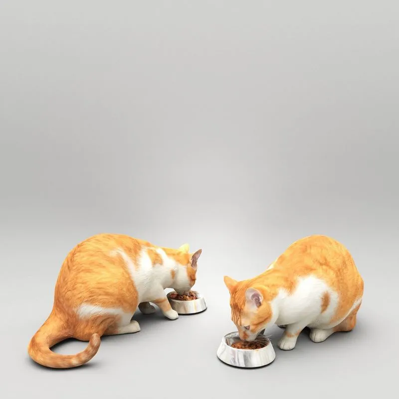 PBR Game 3D Models – Cat with food bowl 37