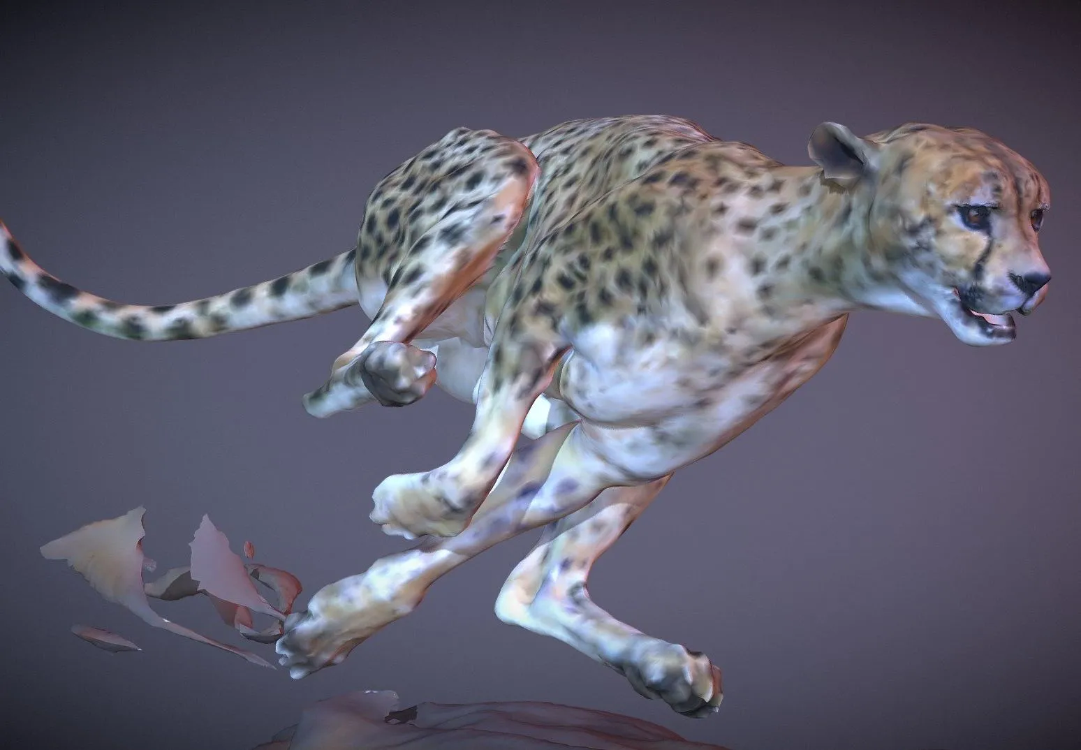 PBR Game 3D Models – Cheetah 3D Sculpt The Chase