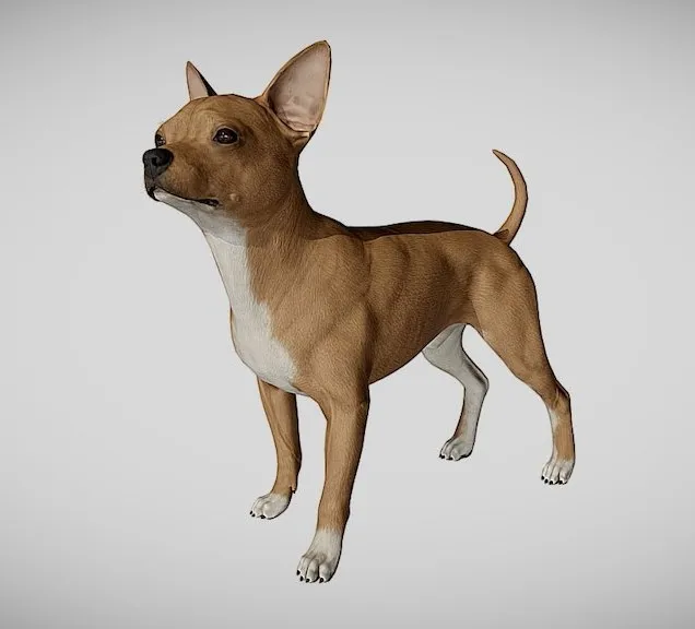 PBR Game 3D Models – Chihuahua