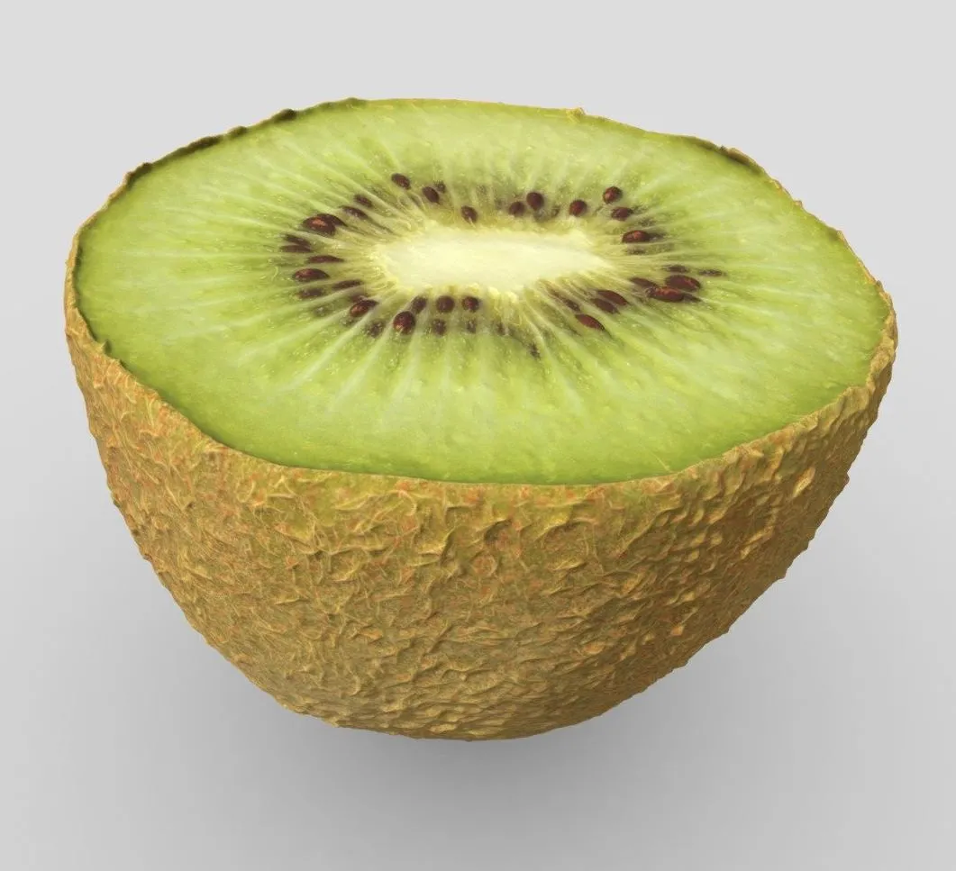 PBR Game 3D Models – Chilean Kiwi