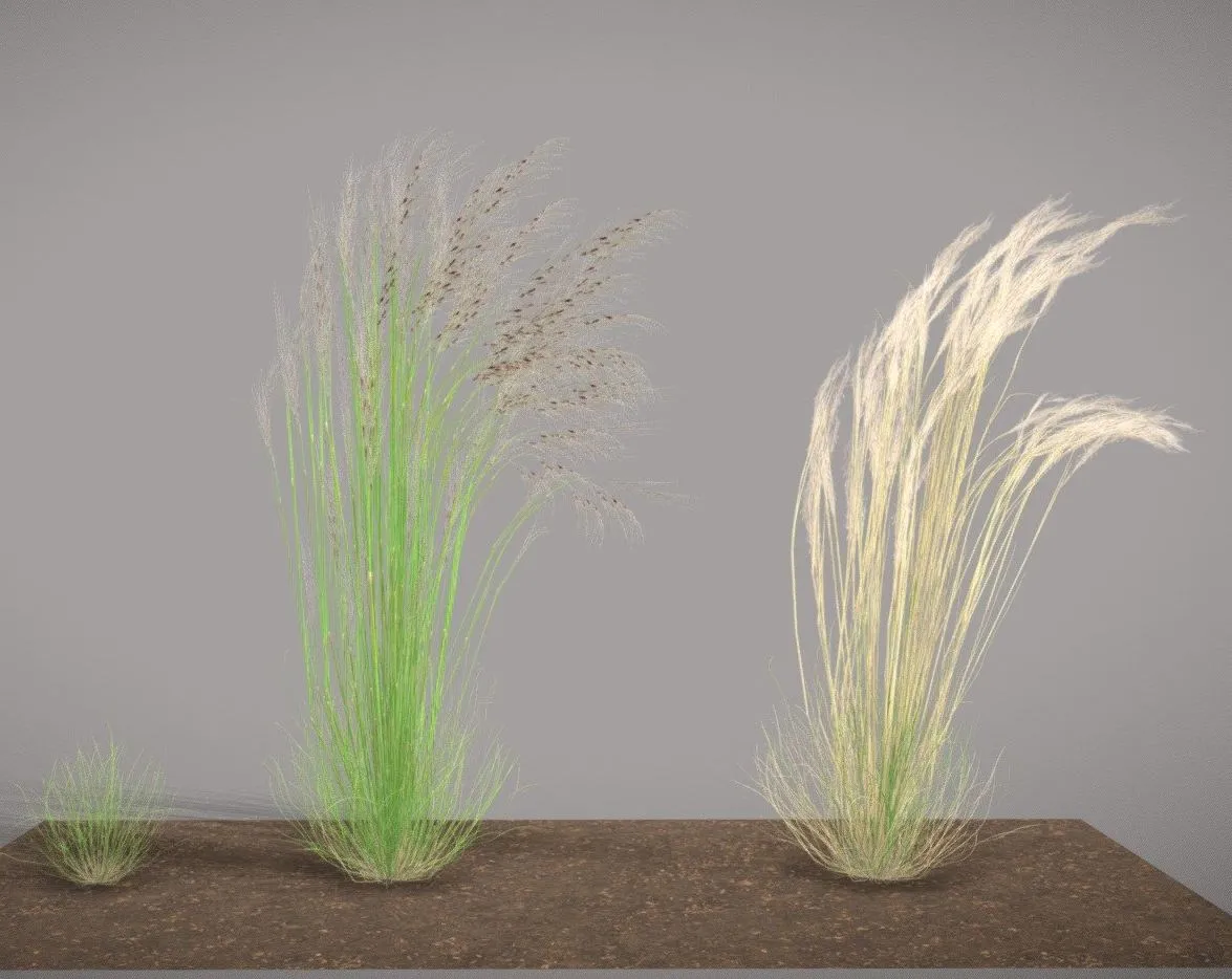 PBR Game 3D Models – Chilean Needle Grass Nassella Neesiana