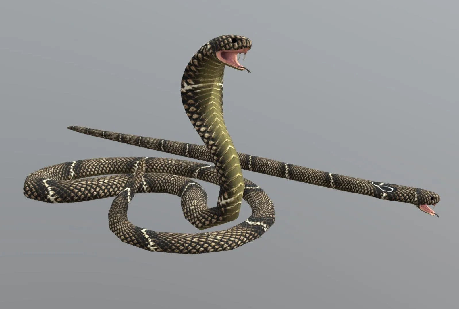PBR Game 3D Models – Cobra Snake
