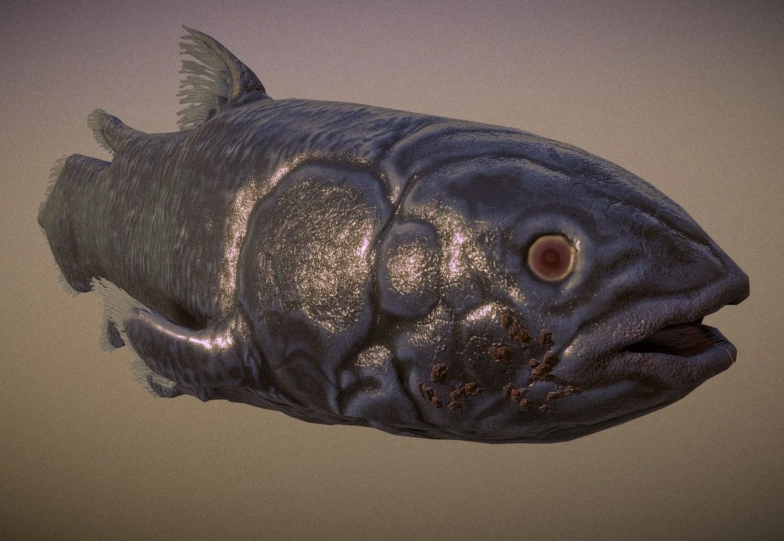 PBR Game 3D Models – Coelacanth Fish