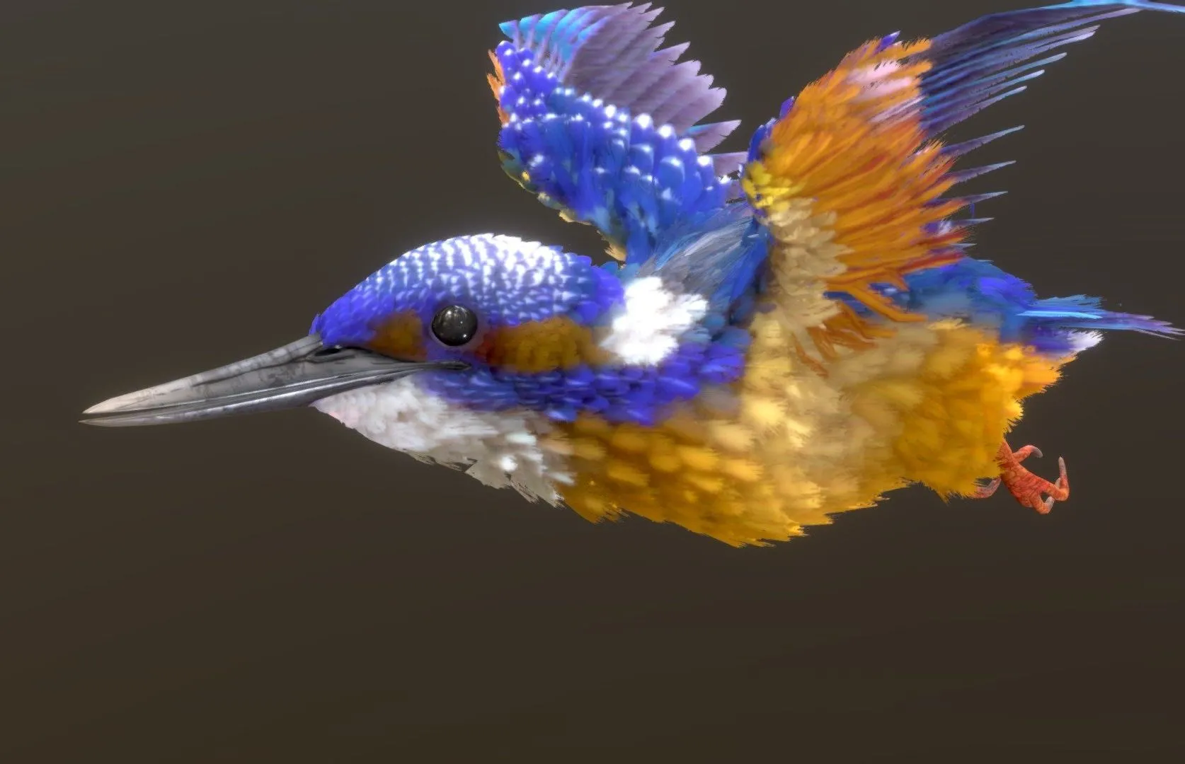 PBR Game 3D Models – Common Kingfisher