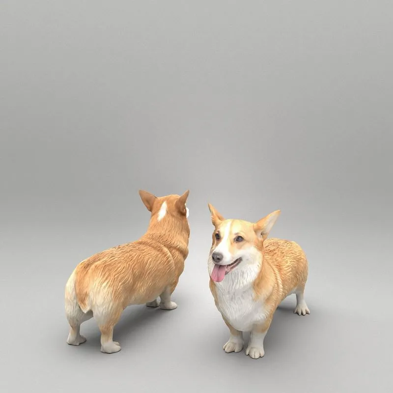 PBR Game 3D Models – Corgi dog 39