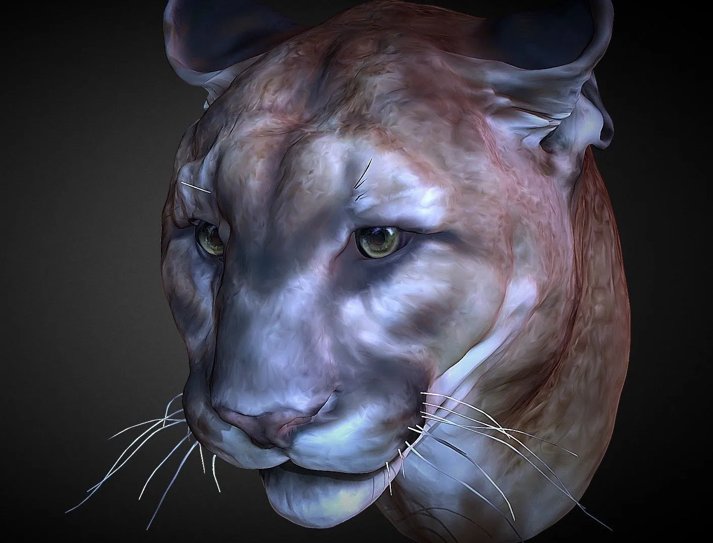 PBR Game 3D Models – Cougar