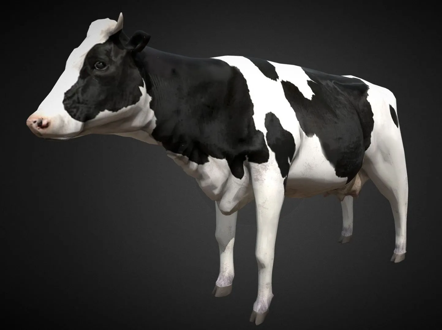 PBR Game 3D Models – Cow