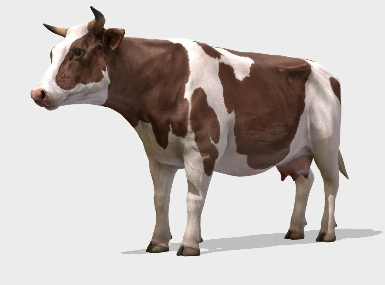 PBR Game 3D Models – Cow Animations
