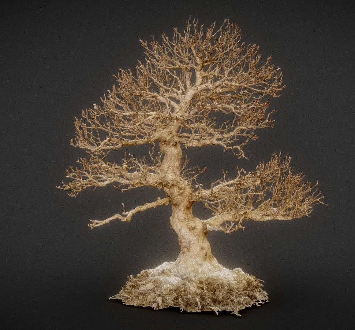 PBR Game 3D Models – Dead Bonsai 1
