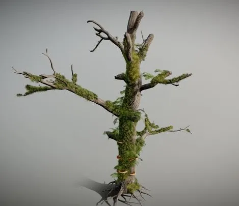 PBR Game 3D Models – Dead Tree With Moss And Small Fern Coverage