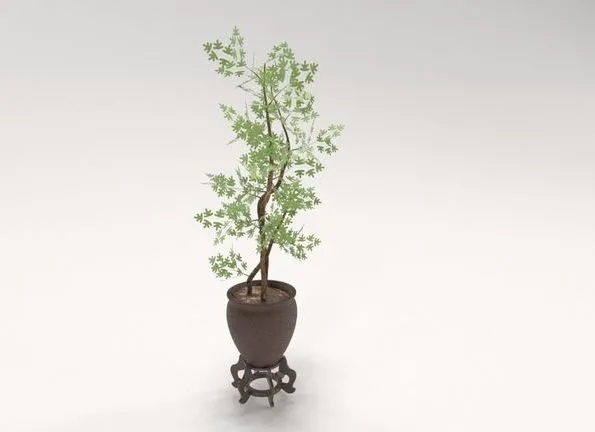 PBR Game 3D Models – Decorative tree in a Pot