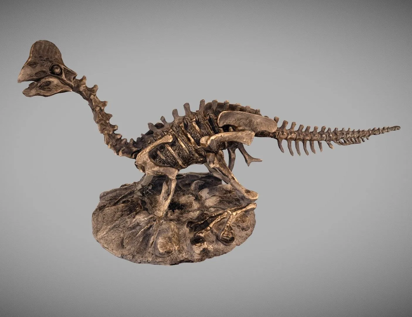 PBR Game 3D Models – Dinosaur Fossil Statue