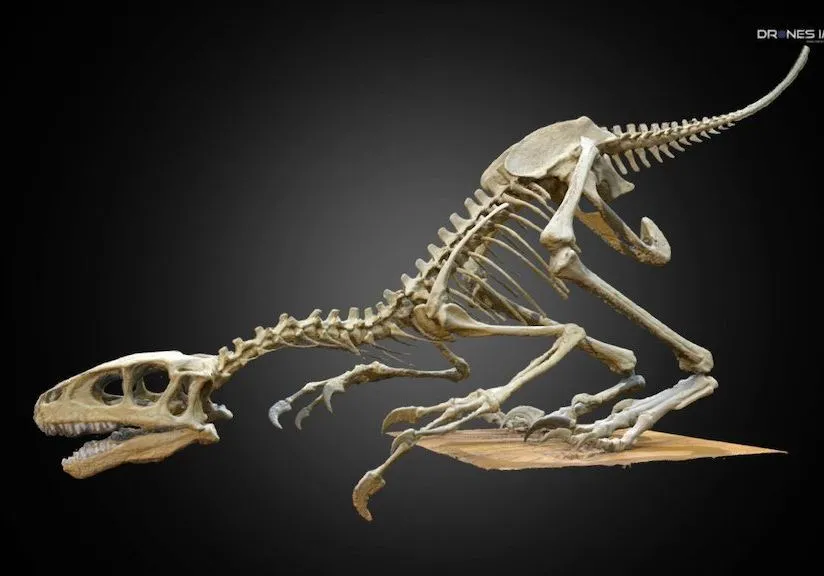 PBR Game 3D Models – Dinosaur Skeleton Paris