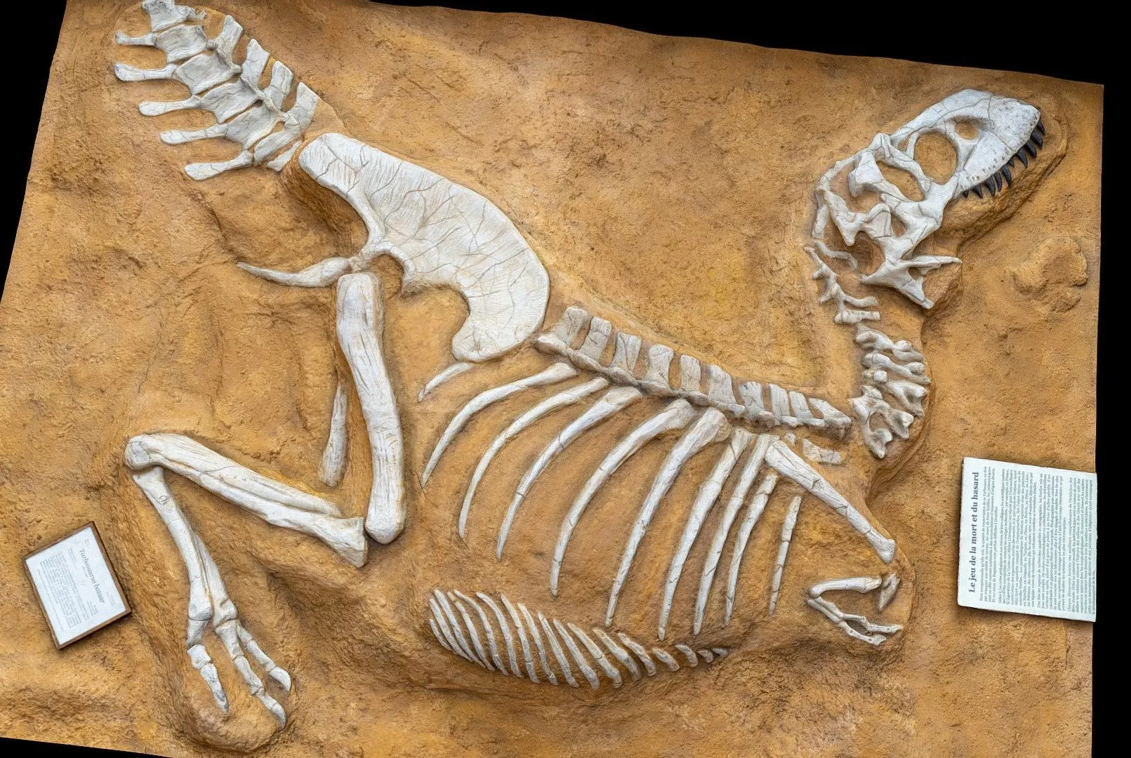 PBR Game 3D Models – Dinosaur Tarbosaurus Bataar