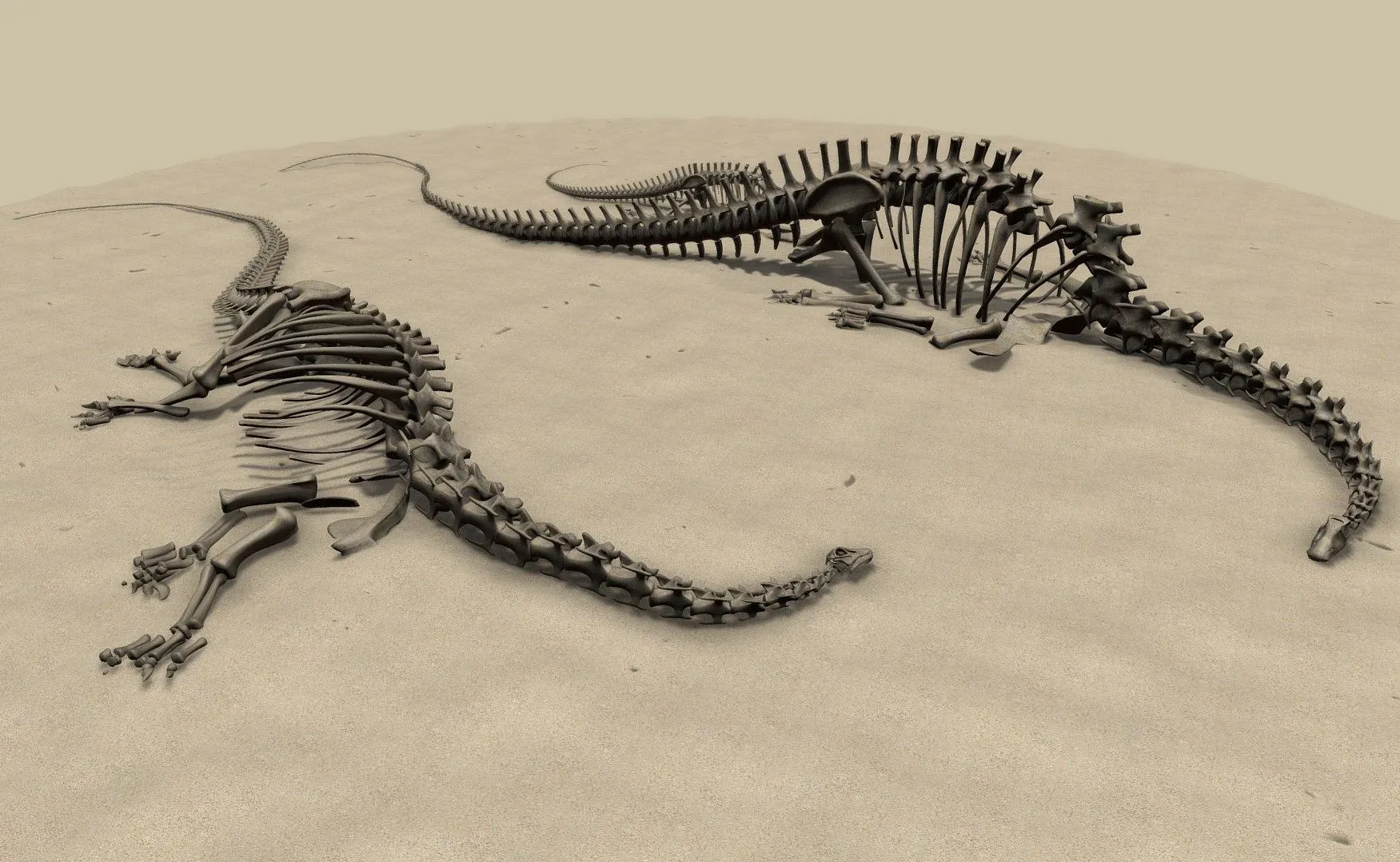 PBR Game 3D Models – Diplodocus Skeletons