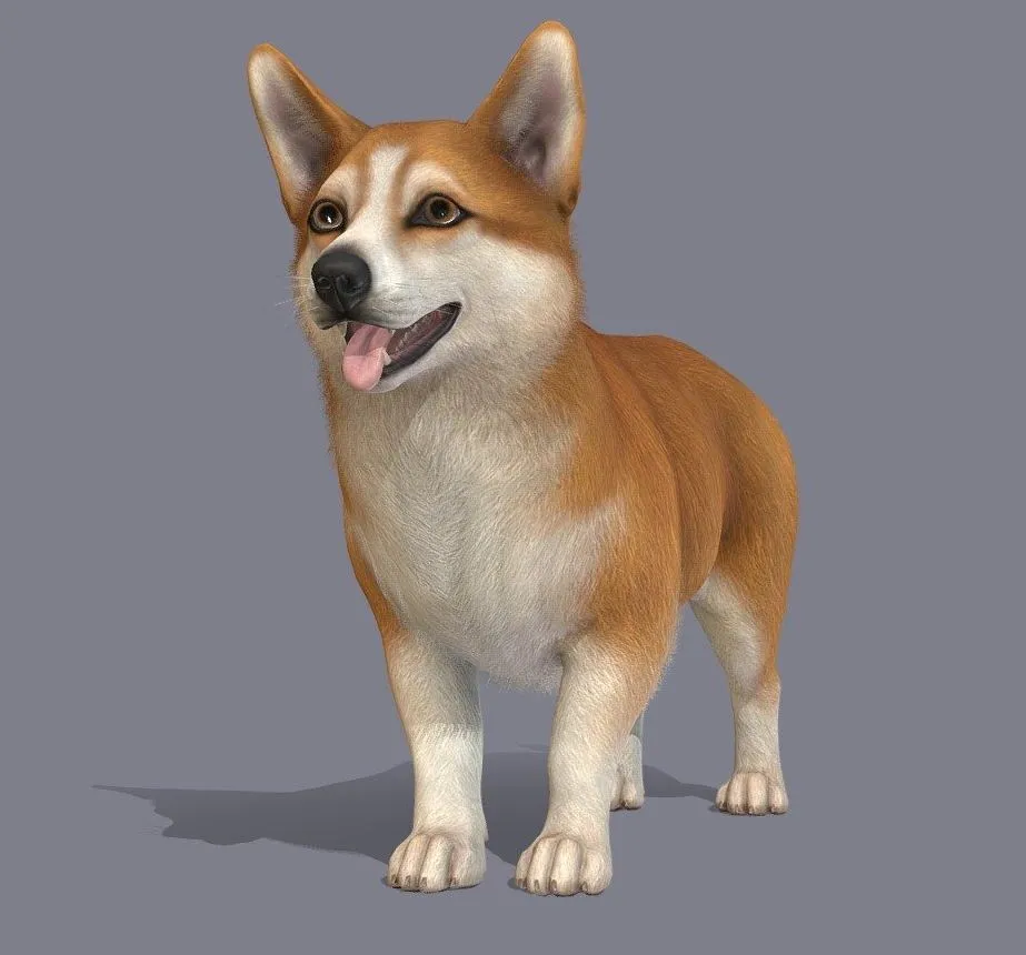 PBR Game 3D Models – Dog Corgi V2