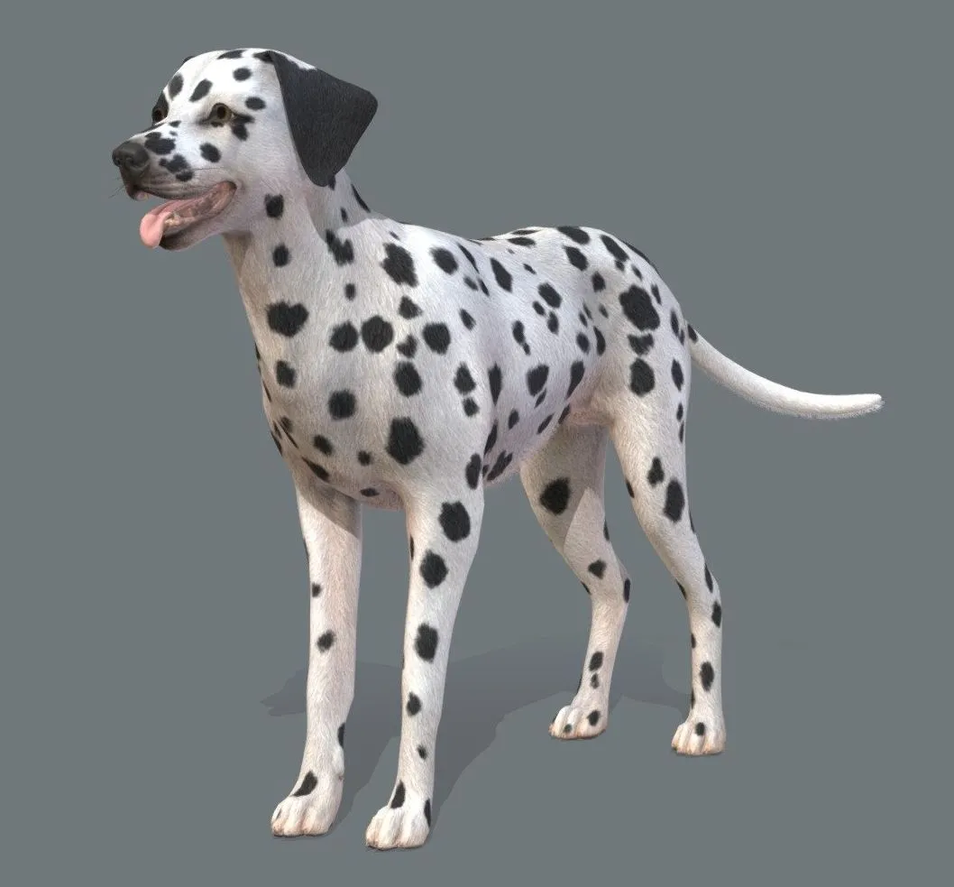 PBR Game 3D Models – Dog Dalmatian V2