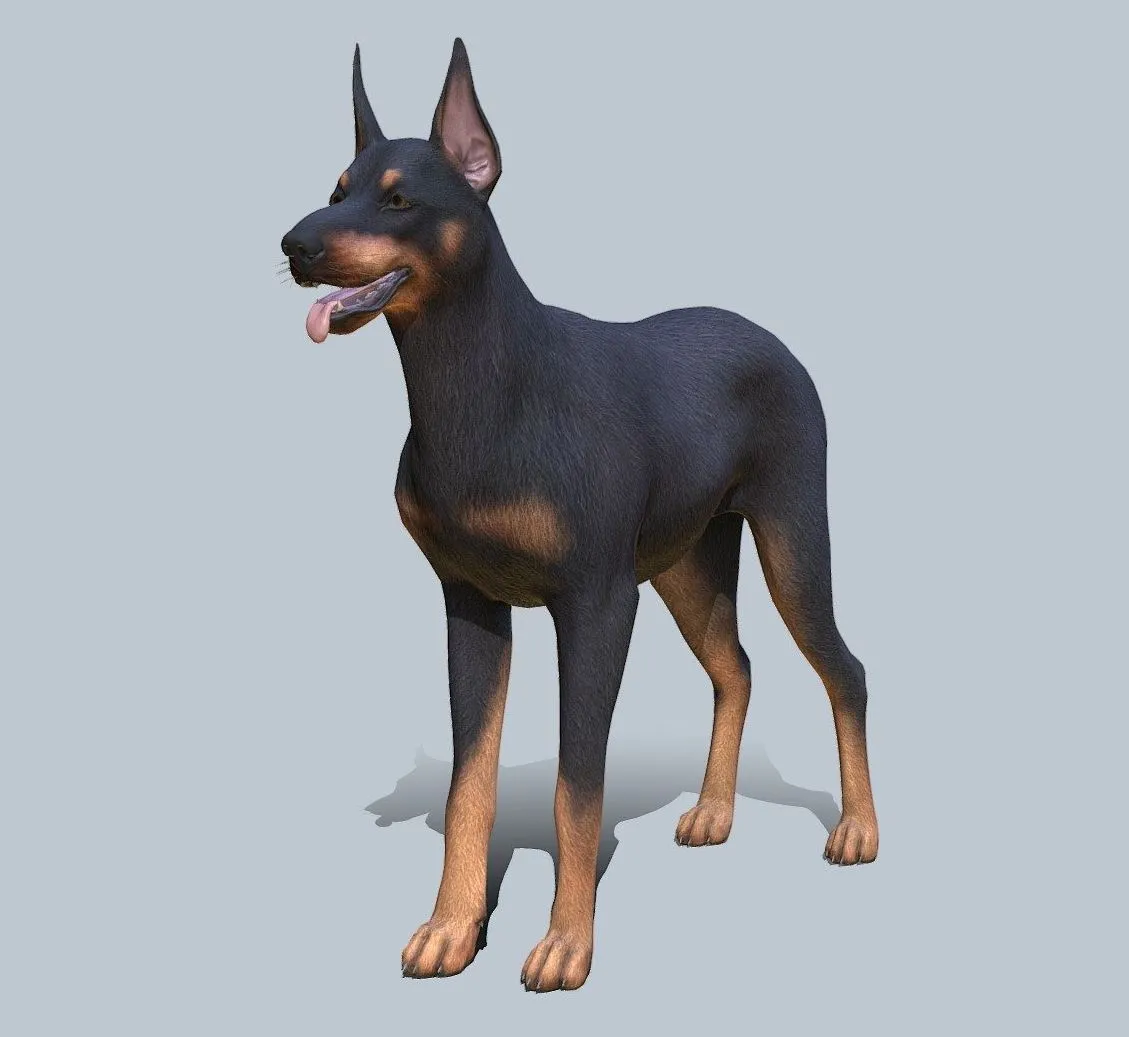 PBR Game 3D Models – Dog Doberman V2