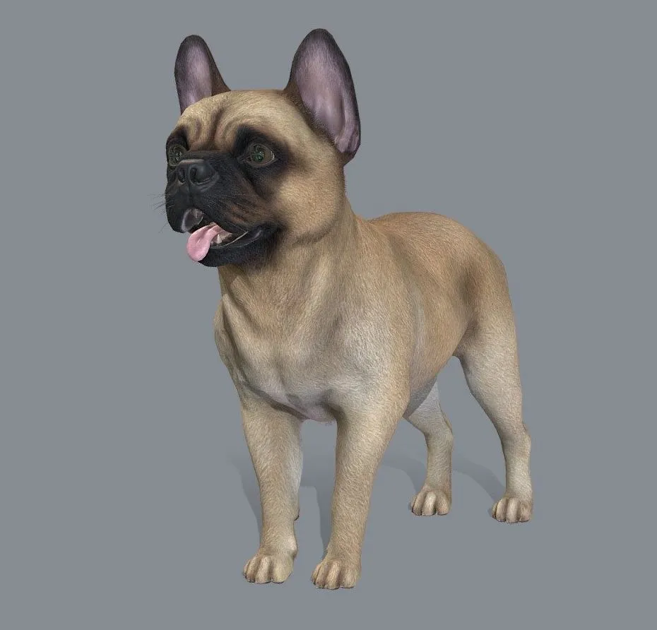 PBR Game 3D Models – Dog French Bulldog V2