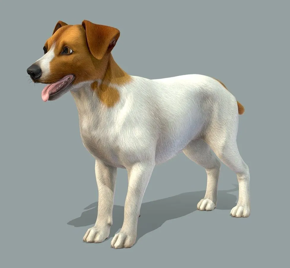 PBR Game 3D Models – Dog Jack Russell Terrier V2