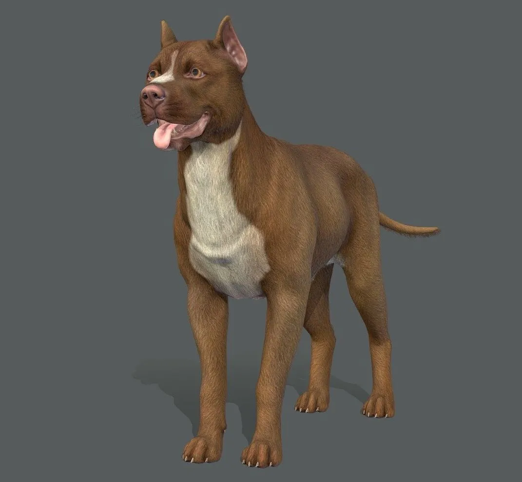 PBR Game 3D Models – Dog Pitbull Terrier V2