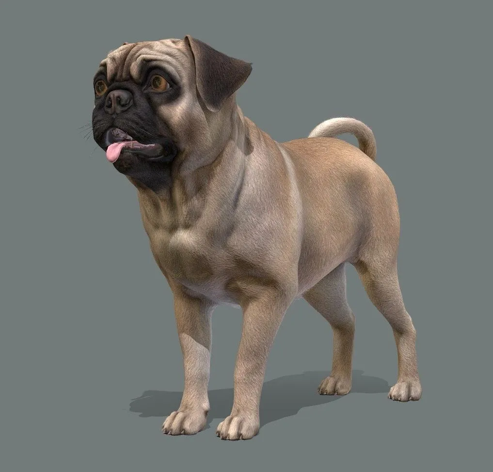 PBR Game 3D Models – Dog Pug V2