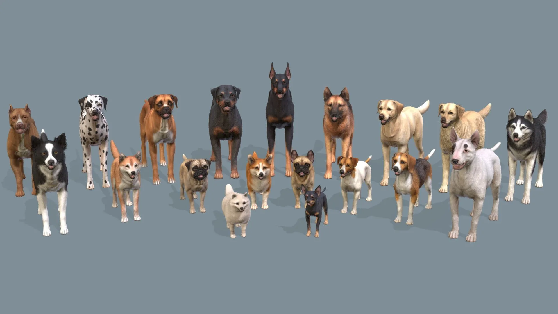 PBR Game 3D Models – Dogs Big Pack V2