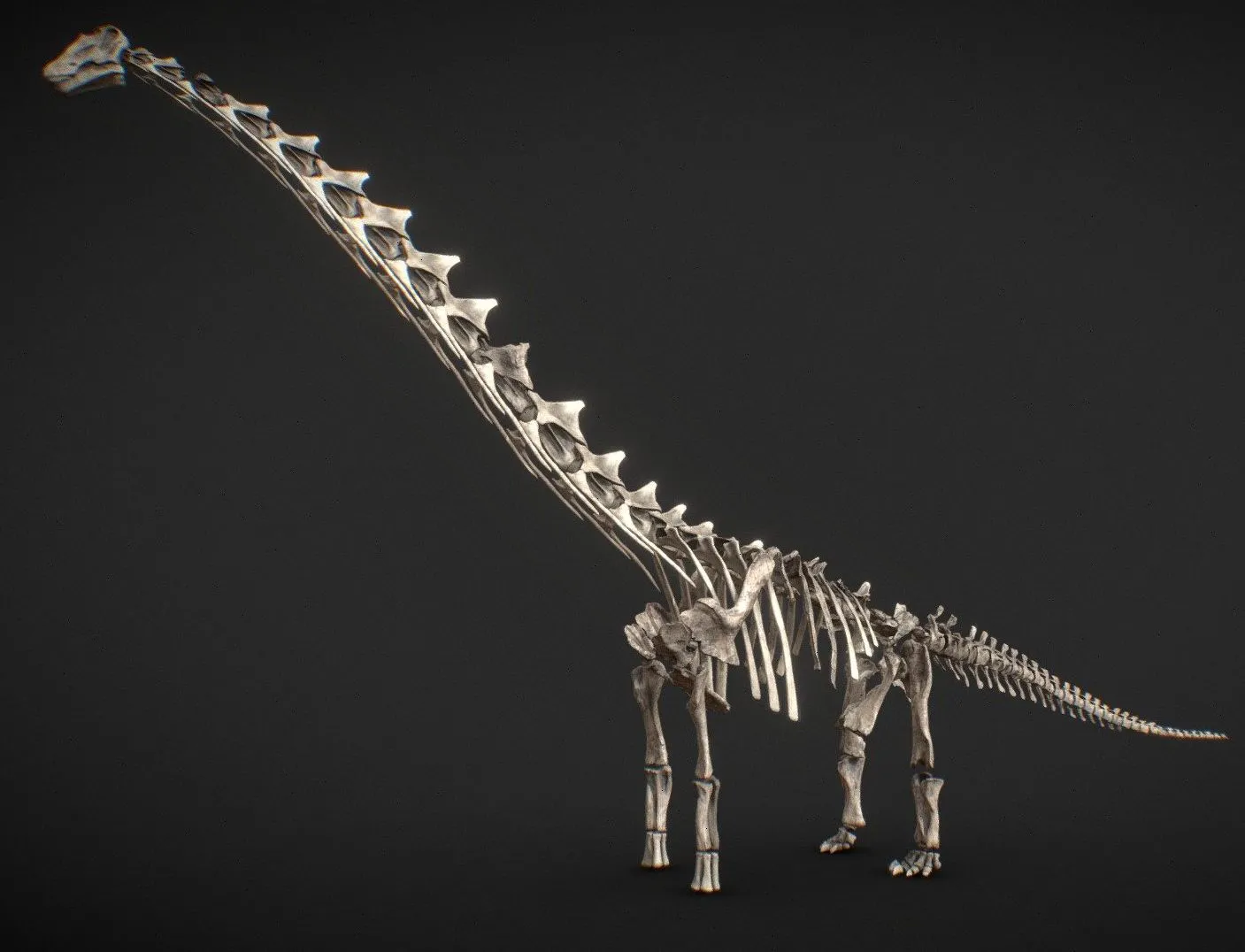 PBR Game 3D Models – Dreadnoughtus Skeleton