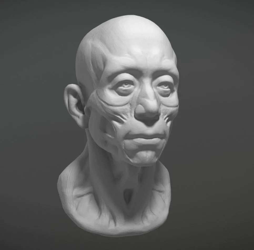 PBR Game 3D Models – Dsffg