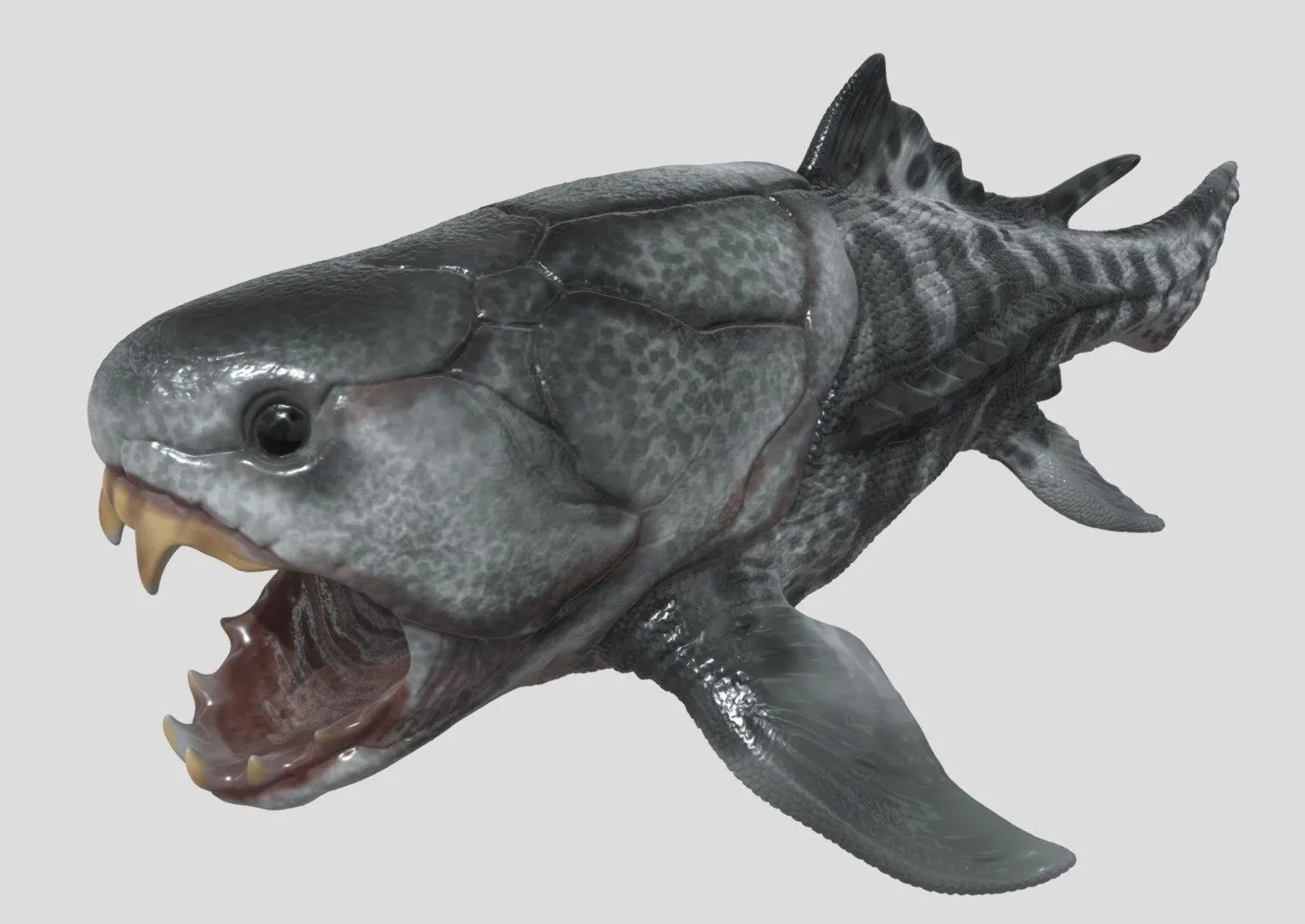 PBR Game 3D Models – Dunkleosteus Sculptor101