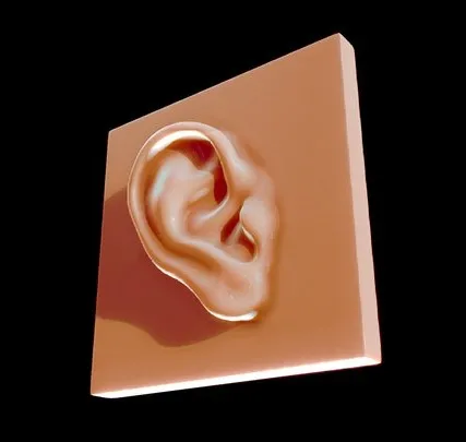PBR Game 3D Models – Ear Reference For Artists