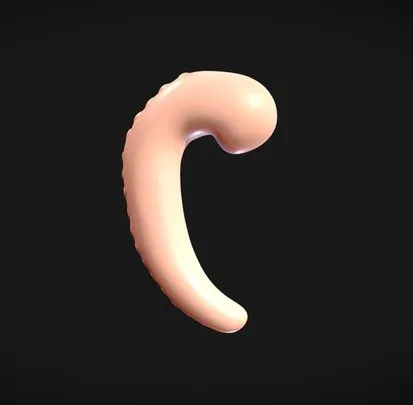 PBR Game 3D Models – Early Fetal Development Human Embryonic