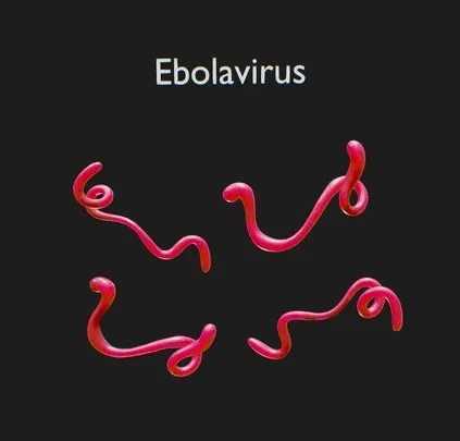 PBR Game 3D Models – Ebola Virus