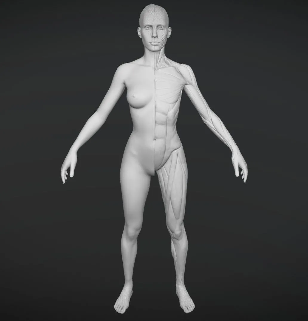 PBR Game 3D Models – Echorche Female