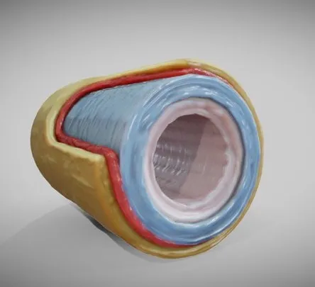 PBR Game 3D Models – Elastic Artery