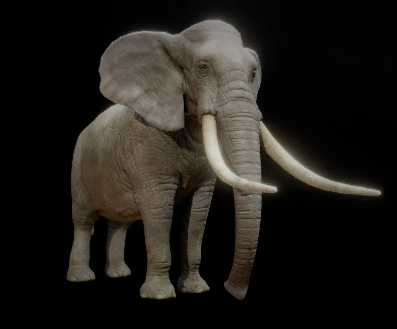 PBR Game 3D Models – Elephant Animations
