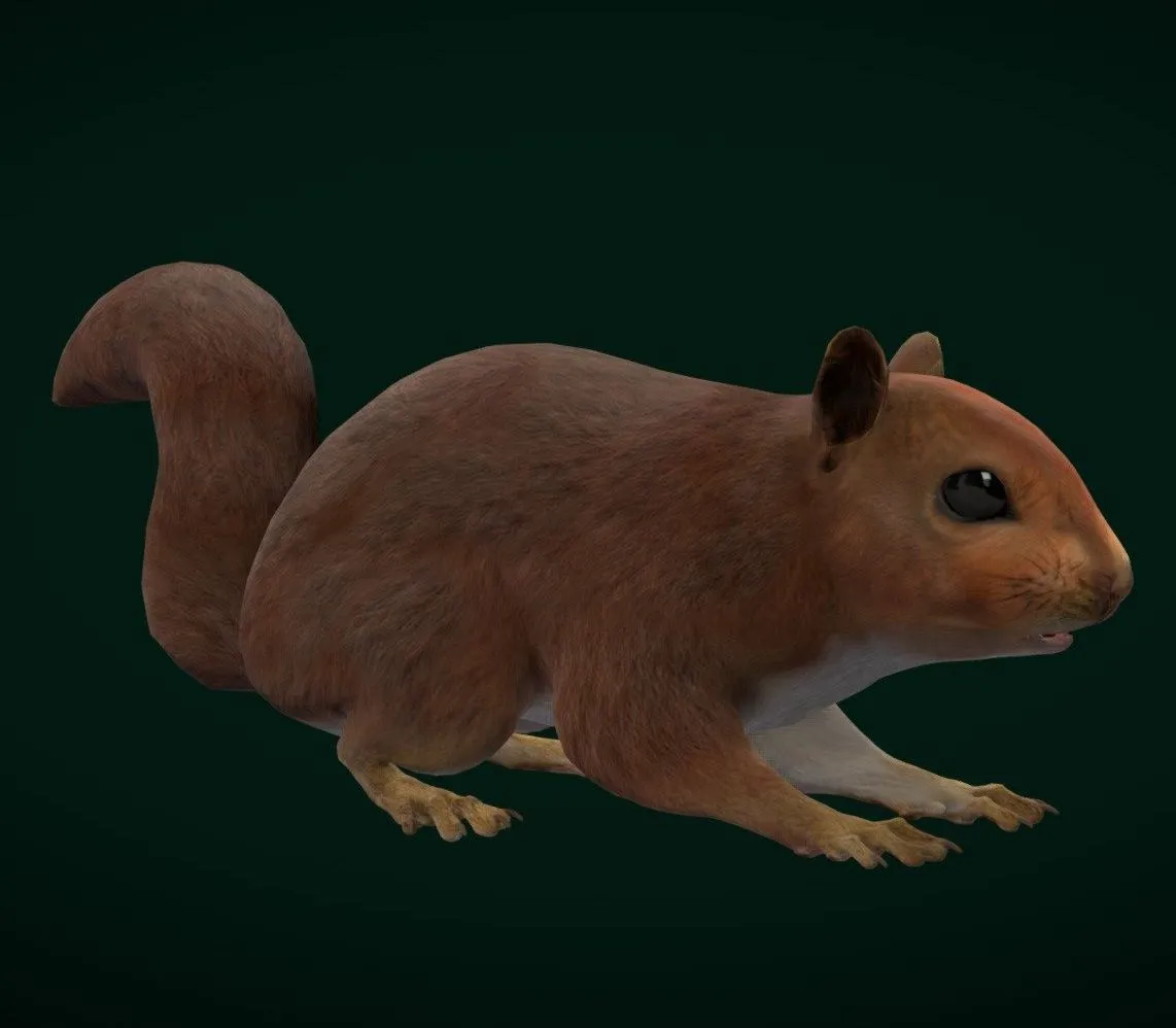 PBR Game 3D Models – Eurasian Red Squirrel Rodent