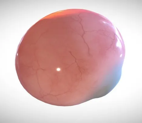 PBR Game 3D Models – Eye Full Section Week Eight