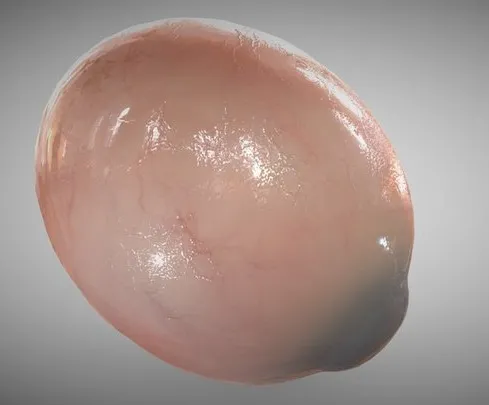 PBR Game 3D Models – Eye Full Section Week Sixteen