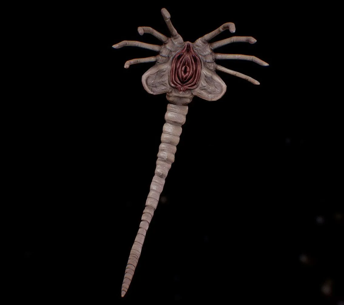 PBR Game 3D Models – Face Hugger