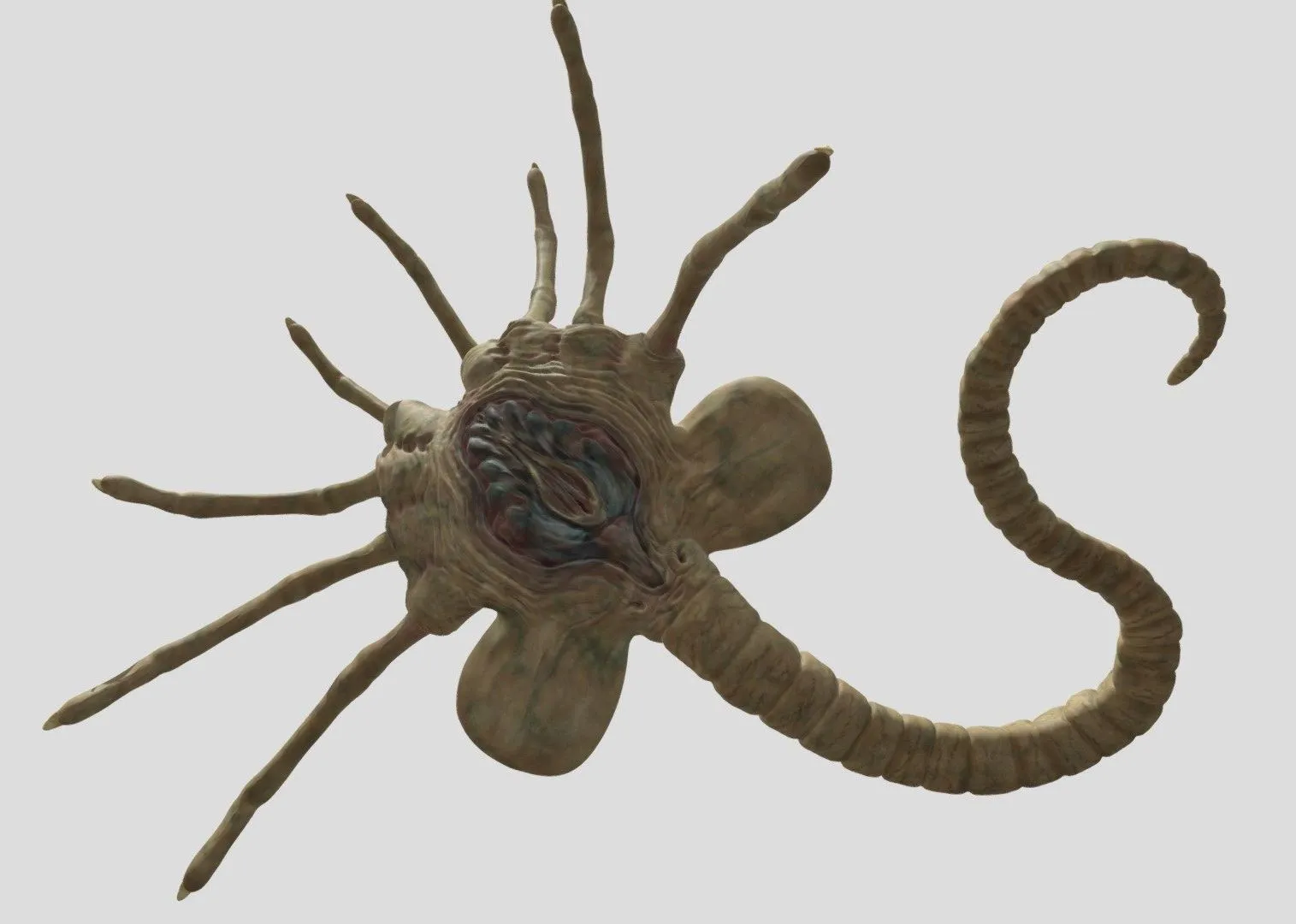PBR Game 3D Models – Facehugger Alien
