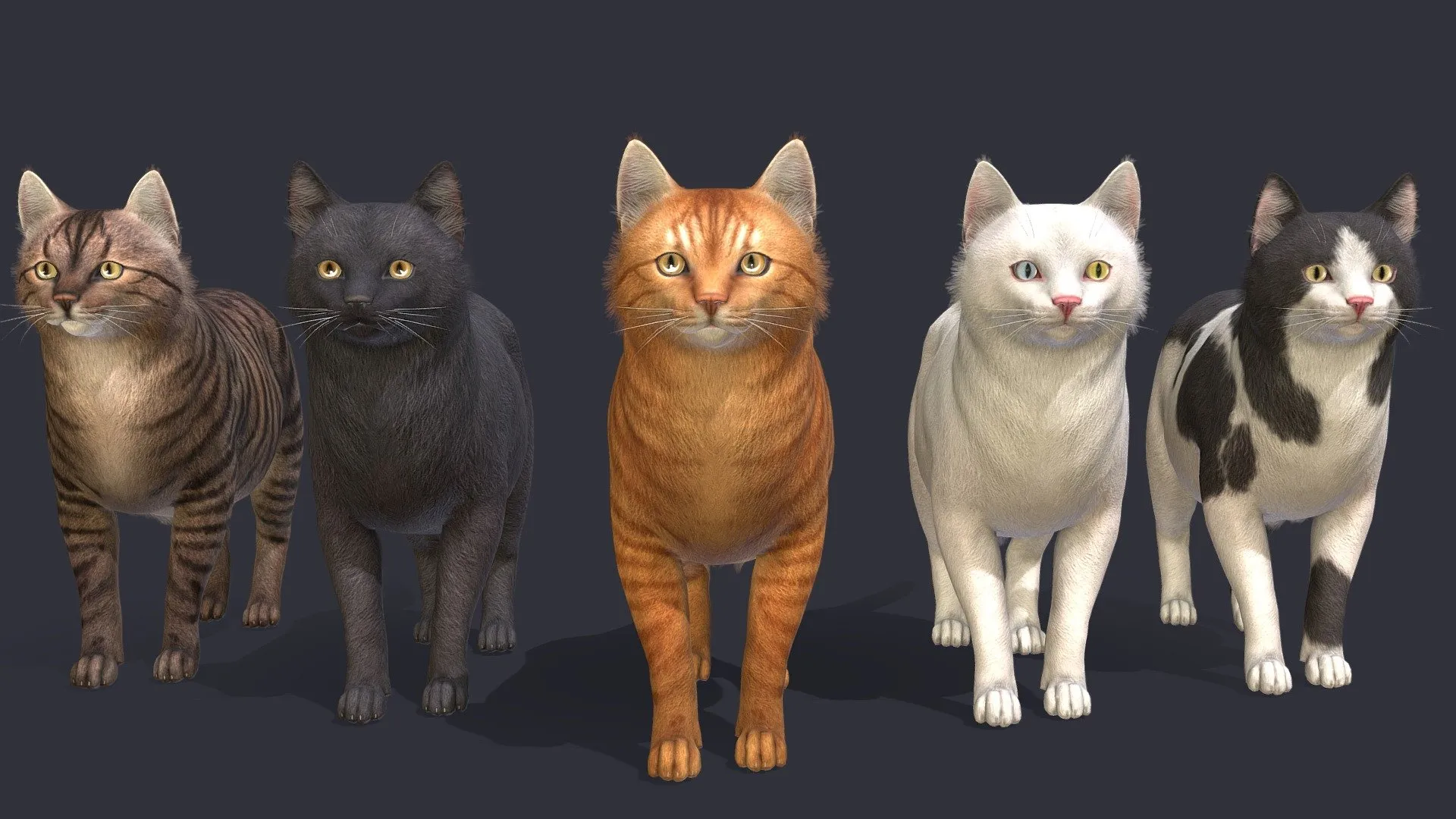 PBR Game 3D Models – Fat Cats
