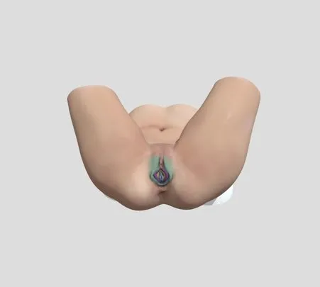 PBR Game 3D Models – Female External Genitalia