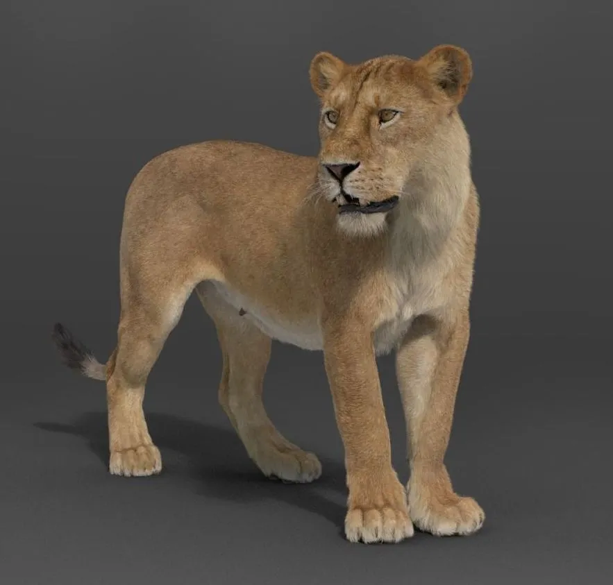 PBR Game 3D Models – Female Lion Rigged VFX Grace