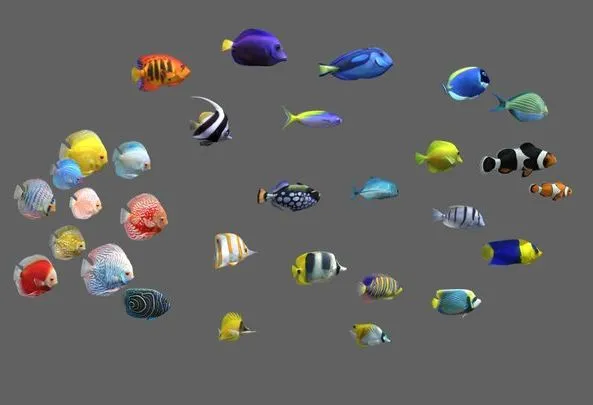 PBR Game 3D Models – Fish Pack 30   Coral Bay