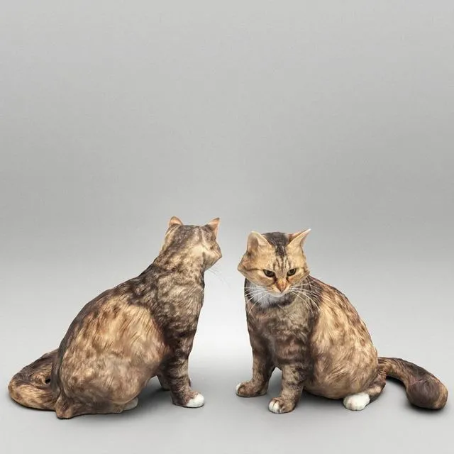 PBR Game 3D Models – Fluffy cat 28