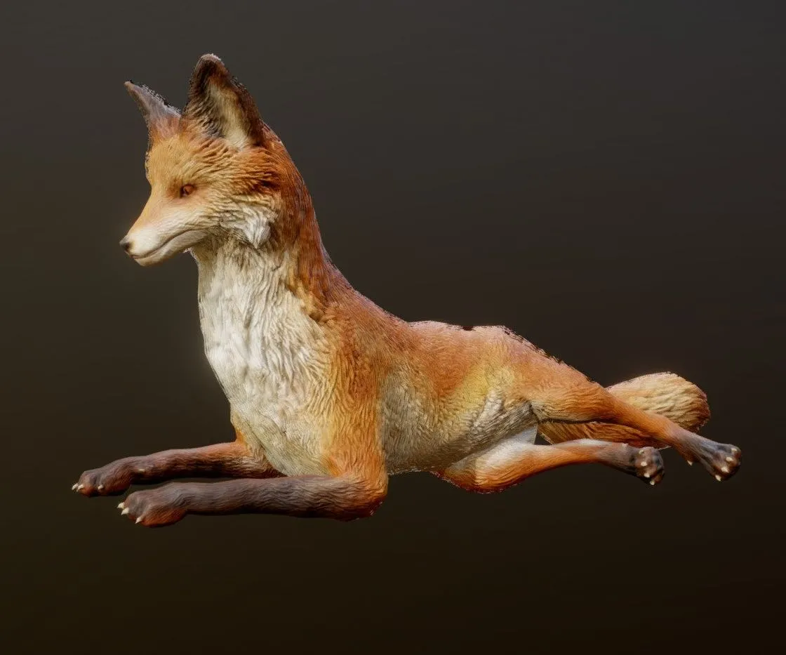 PBR Game 3D Models – Fox Animations