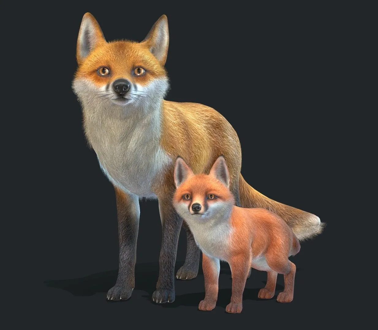 PBR Game 3D Models – Fox Family