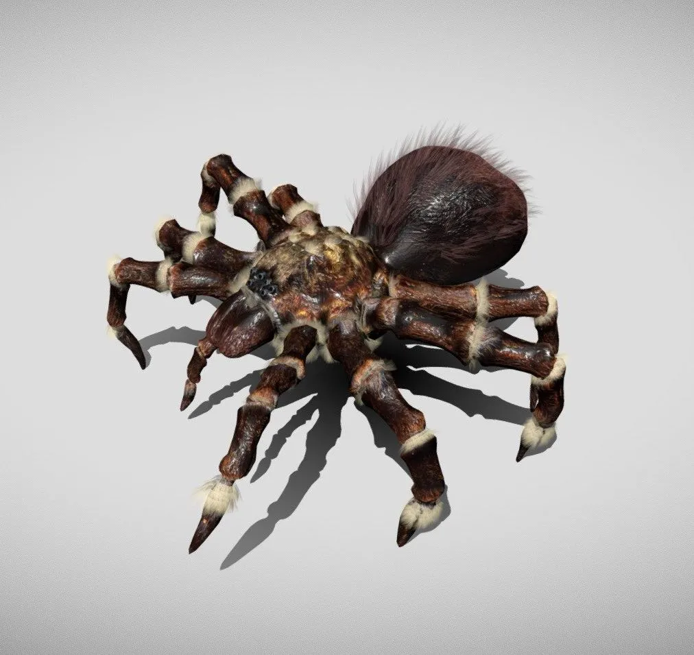 PBR Game 3D Models – Furry Spider with animations